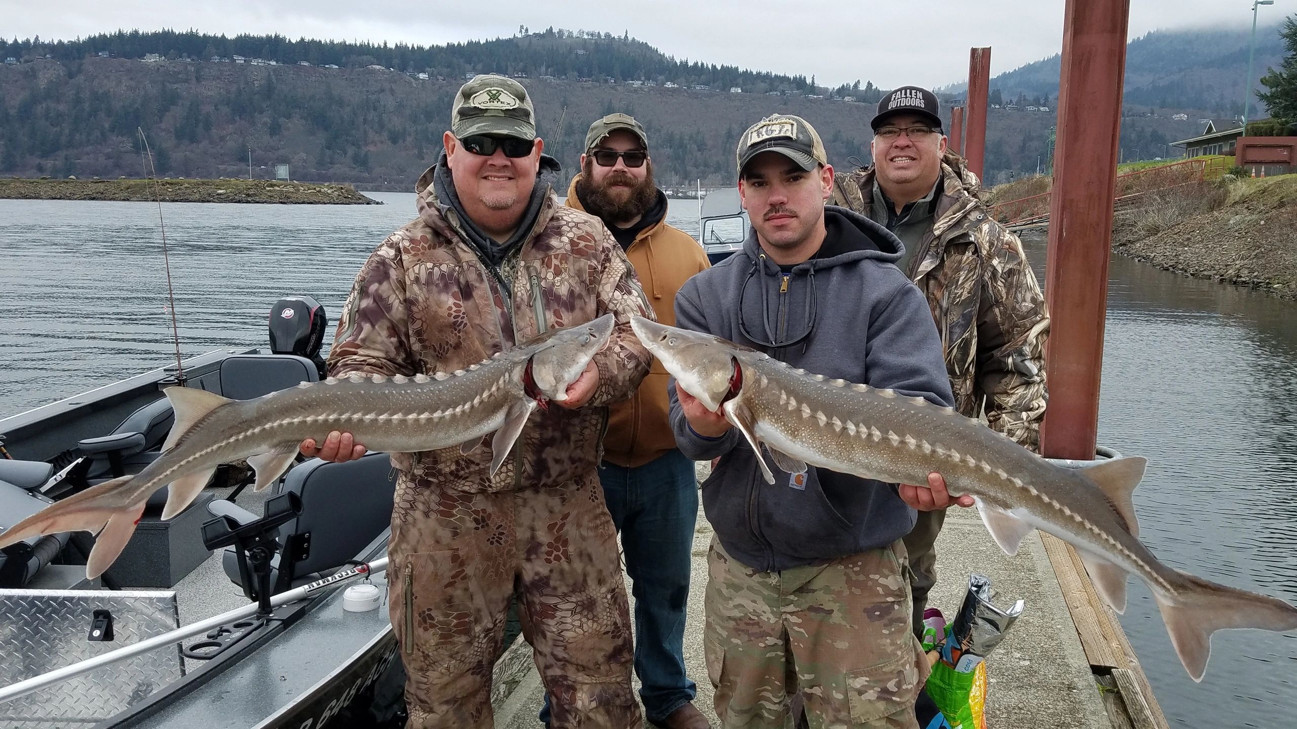 Columbia River white sturgeon caught on a guided trip