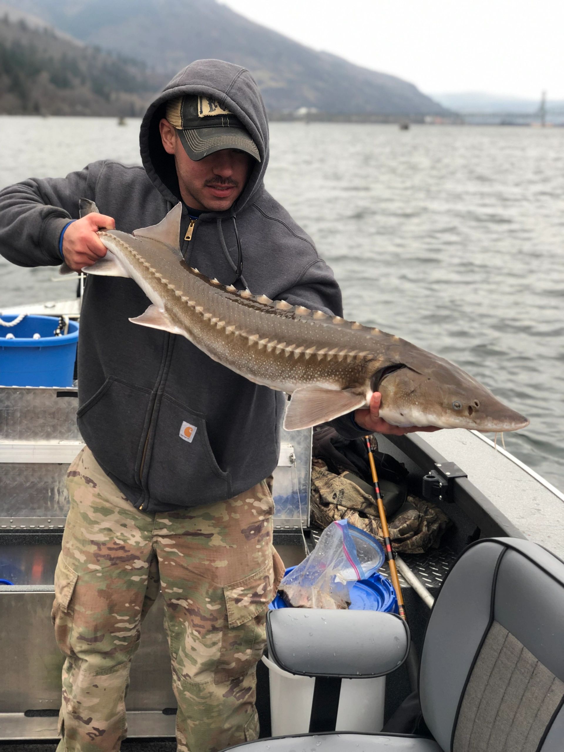 A client in camo and a hooded sweatshirt holds a healthy white sturgeon on Tony's Alumaweld boat on the upper Columbia.